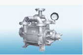 High Capacity Low Vacuum Pumps