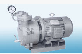 Single Stage Mono-Block Vacuum Pumps